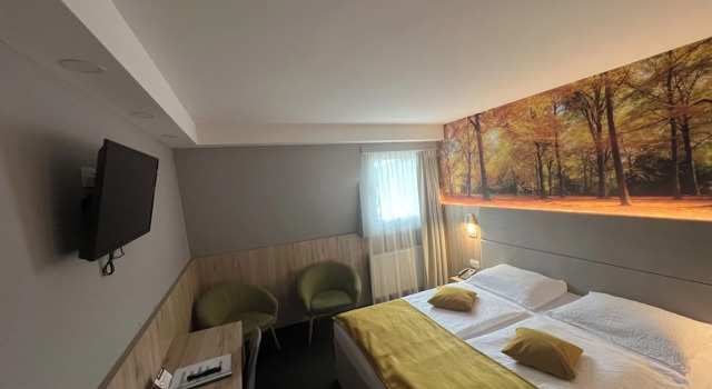 Номер Superior Hotel Alpina