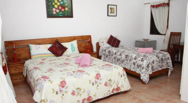 Двухместный номер Premium Bonita Oasis Beach Resort