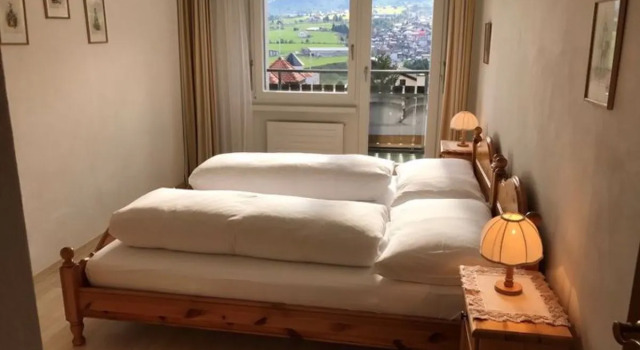 Disentiserhof Hönig 14256