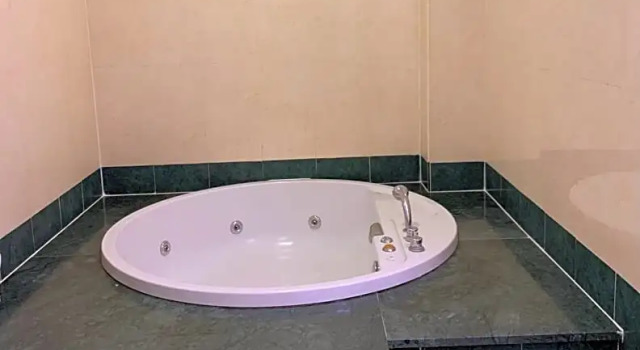 Люкс Hotel - Motel Flower
