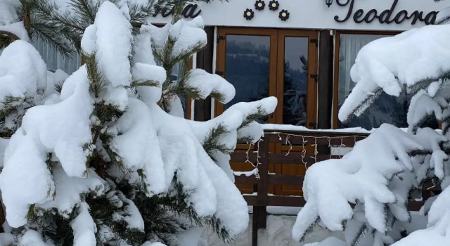 Pensiunea Teodora, Rezervovat Hotel 3hvězdičkové hotely v Suceava, 3*