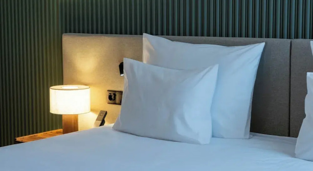 Номер Premium The Lince Braga