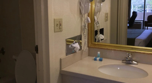 Номер Standard Sawgrass Inn & Conference Center