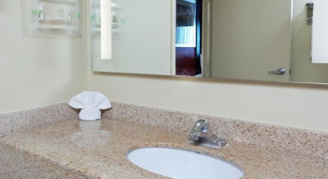 Люкс Holiday Inn Shreveport Downtown by IHG