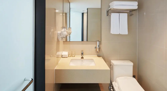 Двухместный номер Standard с видом на город Holiday Inn Express Seoul Hongdae by IHG