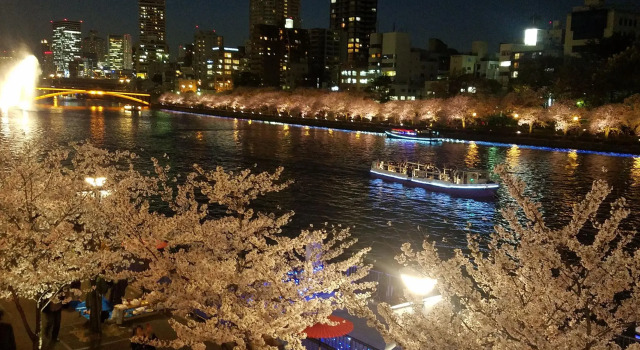 Кровать в общем номере Hotel Osaka Castle