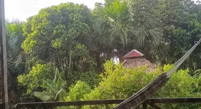 Бунгало Pacaya Samiria Amazon Lodge