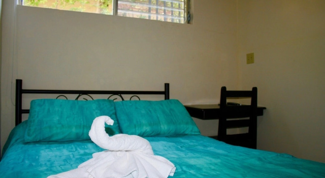 Одноместный номер Economy Hotel Central Boquete