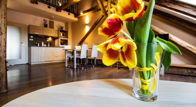 Апартаменты Дуплекс с 2 комнатами Residence U Černé Věže České Budějovice