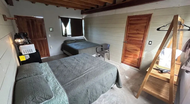 Четырёхместный семейный номер Standard с балконом и рядом с пляжем Hotel Selva y Mar