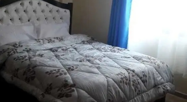 Skyhorse Apartments