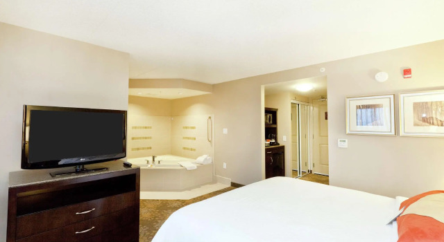 Двухместный номер Standard Hilton Garden Inn Toronto/Brampton