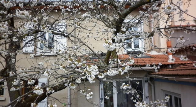 Chambre d'hôtes Le Cerisier, Réserver Hôtel Andrezieux-Boutheon Loire