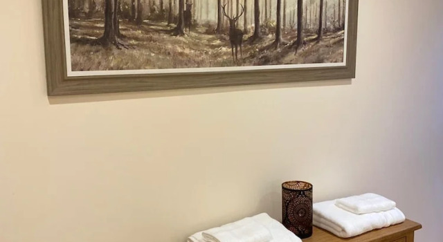 Апартаменты Classic Waverley Inn Apartments