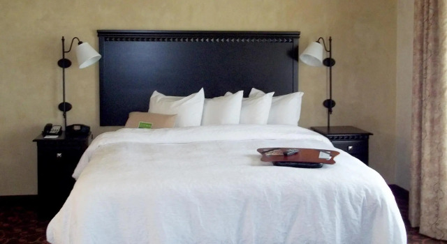 Двухместный номер Standard Hampton Inn & Suites Dallas-Arlington North-Entertainment District