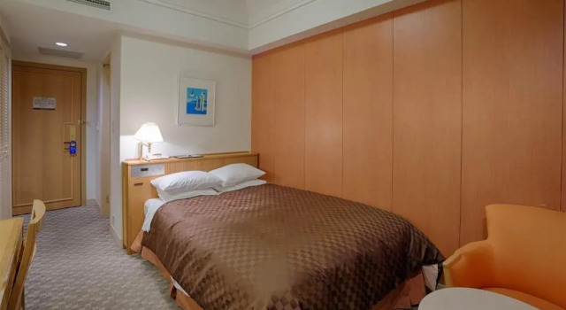 Двухместный номер Economy Hotel Nikko Northland Obihiro