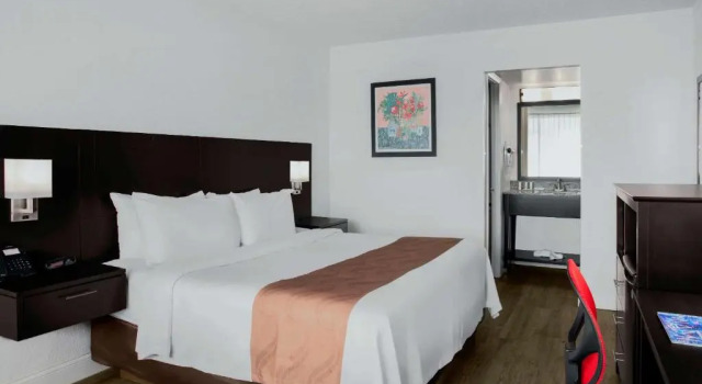 Номер Superior Quality Inn Miami South
