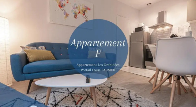 Апартаменты Appartements Les Orchidées Portail Louis Saumur