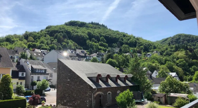 Номер Standard Hotel Altes Winzerhaus