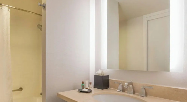 Клубный люкс c 1 комнатой Sheraton Suites Chicago Elk Grove