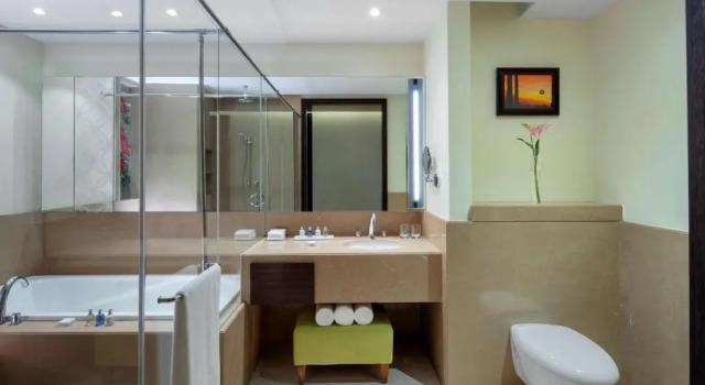 Двухместный номер Superior с видом на город Radisson Blu Plaza Hotel Mysore