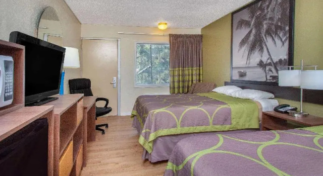 Номер Standard Super 8 By Wyndham Clearwater/Us Hwy 19 N