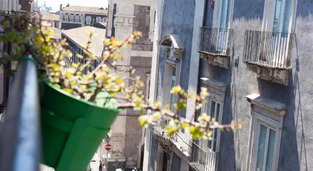 Номер Superior Suite Inn Catania