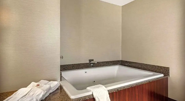 Двухместный люкс Цокольный этаж Comfort Suites Green Bay West