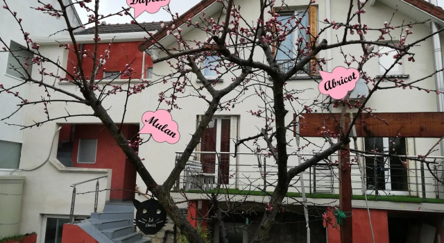 Chalet de Paris