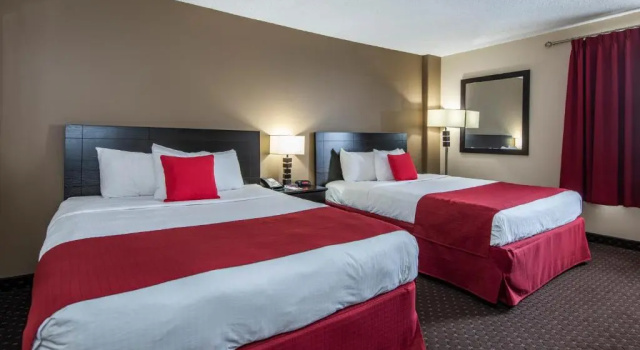 Номер Standard Paradise Inn & Conference Centre