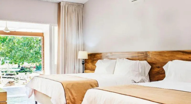 Номер Standard OPacifico Hotel Boutique