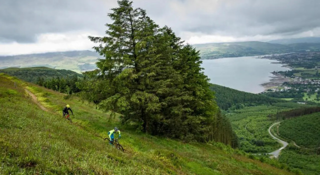 Rostrevor Mountain Lodge & Glamping (Dog Friendly)