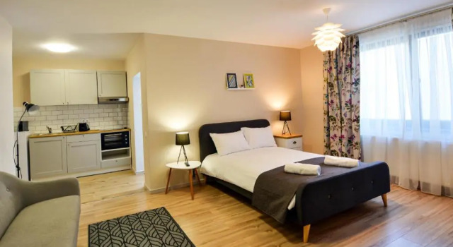 Студия Deluxe Mandarin Premium Apartments