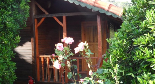 Бунгало Ugur Pansiyon Bungalows