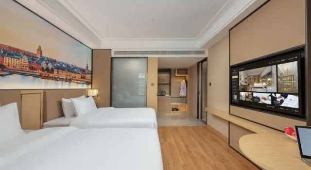 Люкс Standard Vienna International Hotel (Wuhan Linzhang Avenue Subway Station)