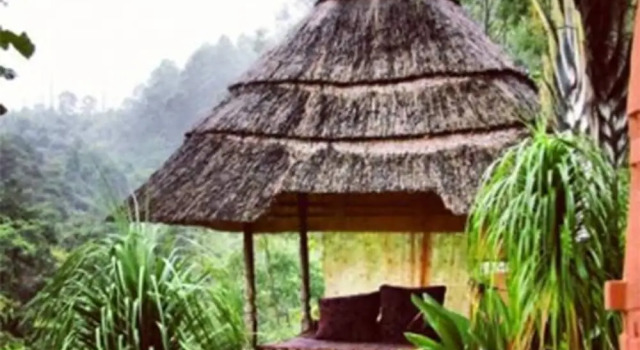 Номер Standard Timamoon Lodge