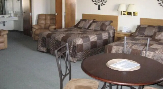 Люкс Little Bear Motel