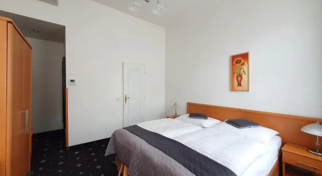 Habitación doble De lujo Máchova