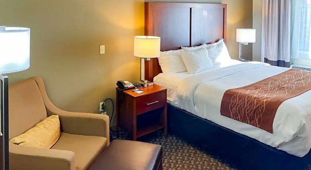 Номер Standard c 1 комнатой Comfort Inn & Suites Midtown
