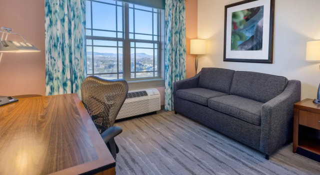 Номер Deluxe Hilton Garden Inn Roanoke