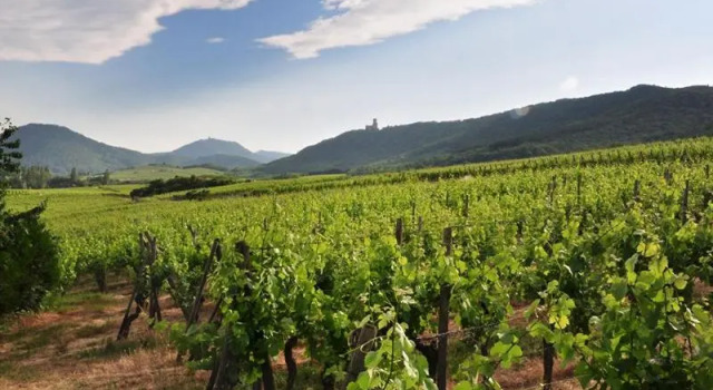B&B bio, Забронировать Отель «постель и завтрак» Отели Alsace Wine Route с парковкой, Парковка