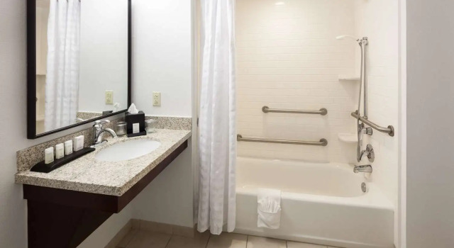 Люкс Embassy Suites by Hilton Tampa Brandon