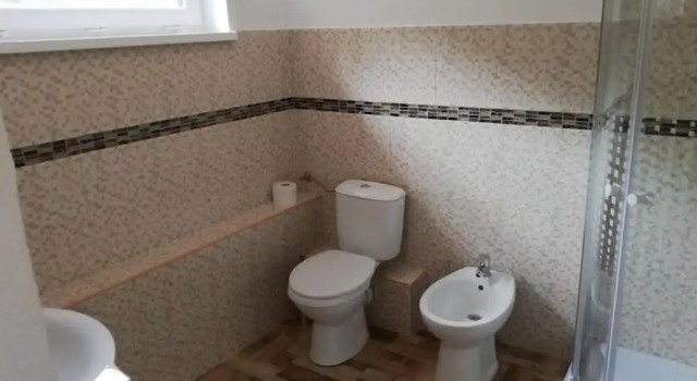 Номер Standard Pensiunea Rozelor