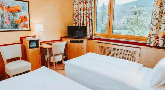 Двухместный номер Economy Hotel Brücklwirt