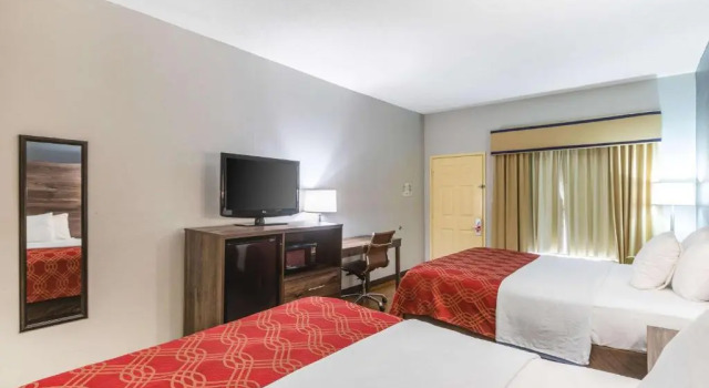 Четырёхместный номер Standard Royal Palms Inn