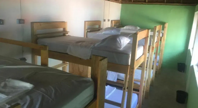 Bed in Dorm Blue Magic Hostel