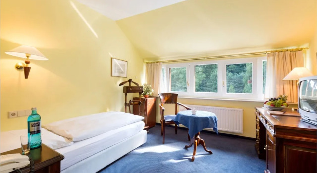 Одноместный номер Standard с красивым видом из окна Schlosshotel Ralswiek