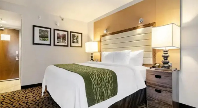 Одноместный люкс Comfort Inn Raleigh Midtown