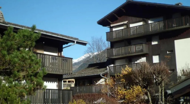 Appartement Chamonix-Mont-Blanc, 1 pièce, 3 personnes - FR-1-517-52