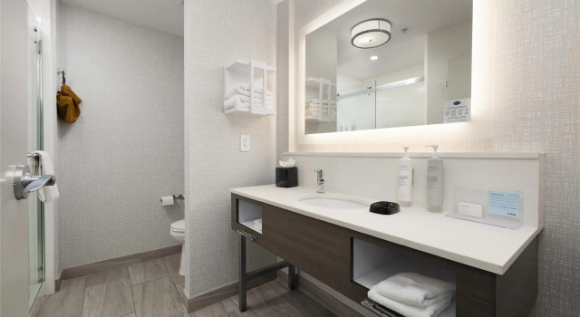 Двухместный номер Standard Hampton Inn & Suites McAllen